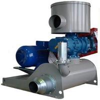 Воздуходувка роторная промышленная Robuschi ROBOX EL 45/2P